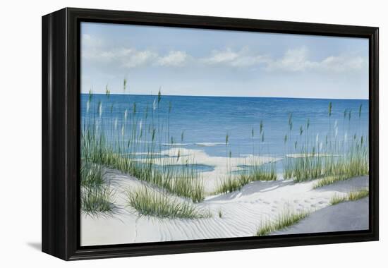 Beach Grass-Max Maxx-Framed Stretched Canvas