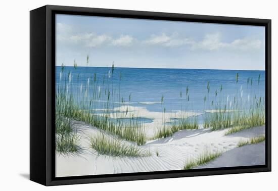 Beach Grass-Max Maxx-Framed Stretched Canvas