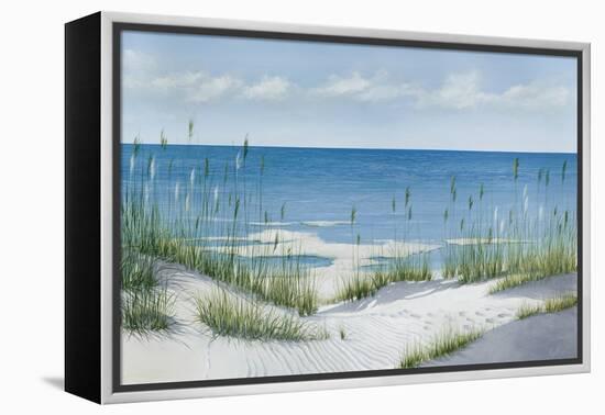 Beach Grass-Max Maxx-Framed Stretched Canvas