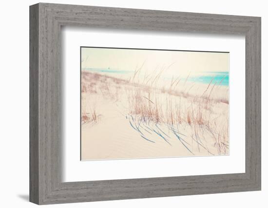 Beach Grasses on the Seashore-soupstock-Framed Photographic Print