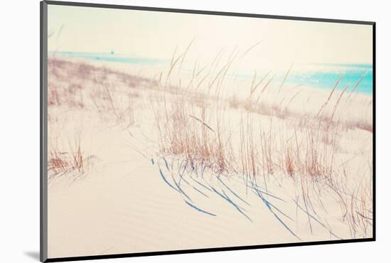 Beach Grasses on the Seashore-soupstock-Mounted Photographic Print