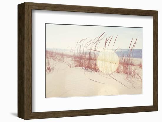 Beach Grasses on the Seashore-soupstock-Framed Photographic Print