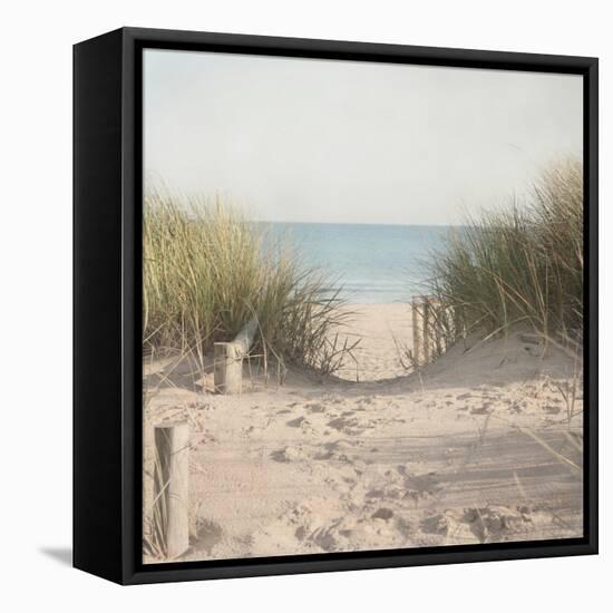 Beach Grasses-Pela Studio-Framed Premier Image Canvas