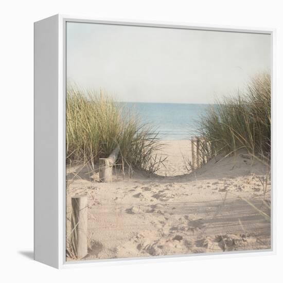 Beach Grasses-Pela Studio-Framed Premier Image Canvas