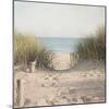 Beach Grasses-Pela Studio-Mounted Photographic Print