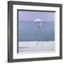 Beach Guard, 2004-Lincoln Seligman-Framed Giclee Print
