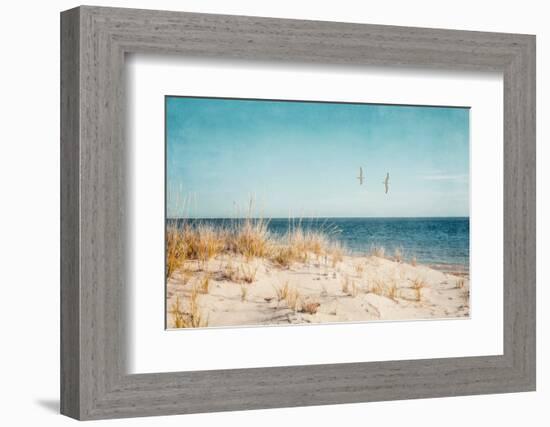 Beach & Gulls-Brooke T. Ryan-Framed Photographic Print