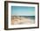 Beach & Gulls-Brooke T. Ryan-Framed Photographic Print