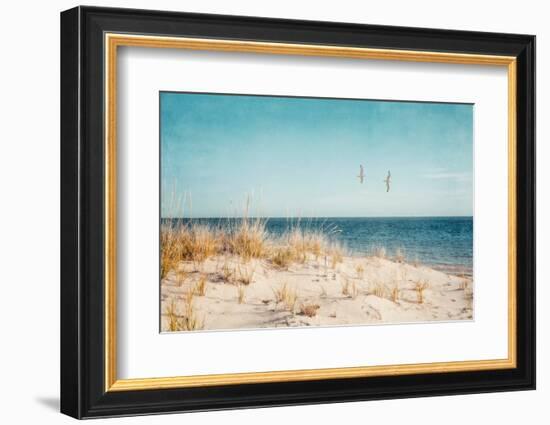 Beach & Gulls-Brooke T. Ryan-Framed Photographic Print