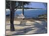 Beach Hammock, Punta Mita, Puerto Vallarta, Mexico-Judith Haden-Mounted Photographic Print