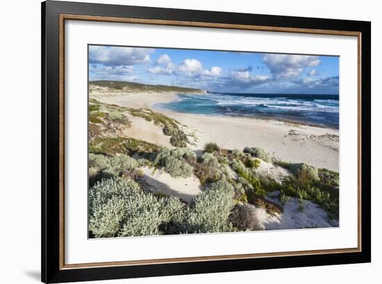 Beach, Hanson Bay, Kangaroo Island, Australia-Martin Zwick-Framed Photographic Print