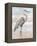 Beach Heron I-Ethan Harper-Framed Stretched Canvas