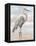 Beach Heron I-Ethan Harper-Framed Stretched Canvas