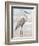 Beach Heron I-Ethan Harper-Framed Premium Giclee Print