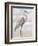 Beach Heron I-Ethan Harper-Framed Premium Giclee Print