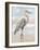 Beach Heron I-Ethan Harper-Framed Art Print