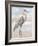 Beach Heron I-Ethan Harper-Framed Art Print