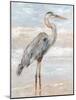 Beach Heron I-Ethan Harper-Mounted Art Print