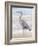 Beach Heron II-Ethan Harper-Framed Art Print