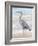 Beach Heron II-Ethan Harper-Framed Art Print