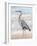 Beach Heron II-Ethan Harper-Framed Art Print