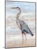 Beach Heron II-Ethan Harper-Mounted Art Print