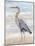 Beach Heron II-Ethan Harper-Mounted Art Print