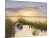 Beach Hideaway-Diane Romanello-Mounted Art Print