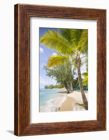 Beach, Holetown, St. James, Barbados, West Indies, Caribbean, Central America-Frank Fell-Framed Photographic Print