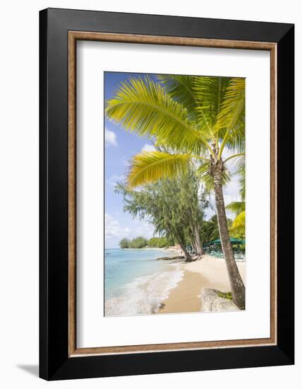 Beach, Holetown, St. James, Barbados, West Indies, Caribbean, Central America-Frank Fell-Framed Photographic Print