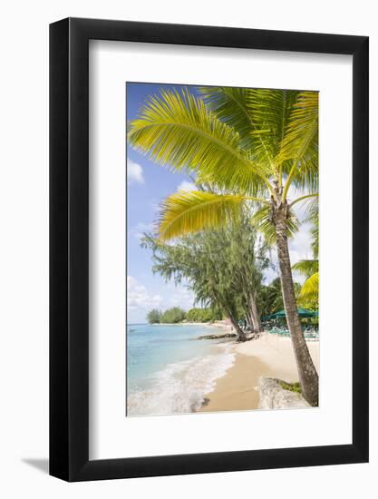 Beach, Holetown, St. James, Barbados, West Indies, Caribbean, Central America-Frank Fell-Framed Photographic Print