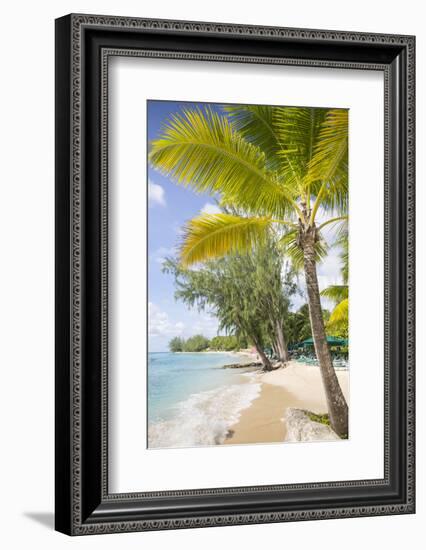 Beach, Holetown, St. James, Barbados, West Indies, Caribbean, Central America-Frank Fell-Framed Photographic Print