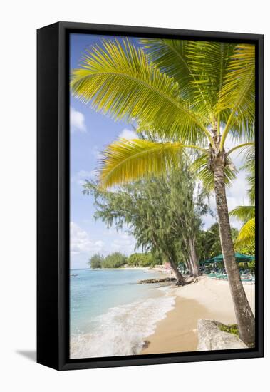 Beach, Holetown, St. James, Barbados, West Indies, Caribbean, Central America-Frank Fell-Framed Premier Image Canvas