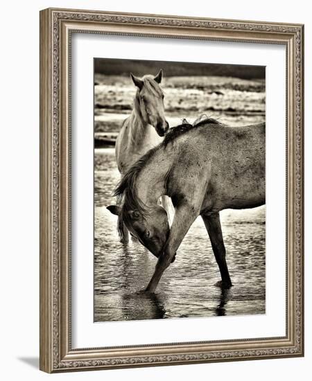 Beach Horses I-David Drost-Framed Photographic Print