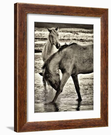 Beach Horses I-David Drost-Framed Photographic Print