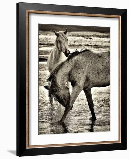Beach Horses I-David Drost-Framed Photographic Print