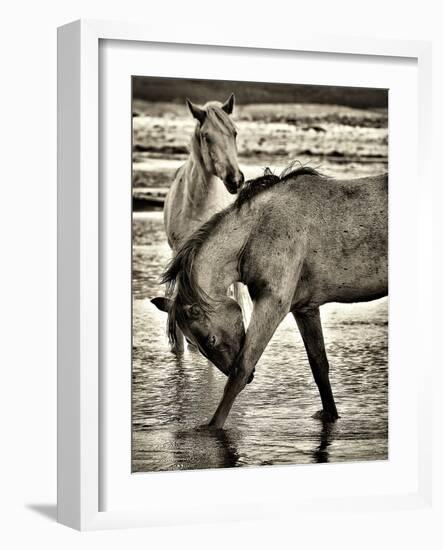 Beach Horses I-David Drost-Framed Photographic Print