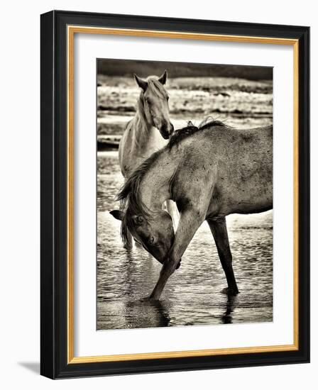 Beach Horses I-David Drost-Framed Photographic Print