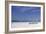 Beach House Bedroom-Zhen-Huan Lu-Framed Giclee Print