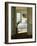 Beach House Cat-Zhen-Huan Lu-Framed Giclee Print