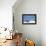 Beach House Dog-Zhen-Huan Lu-Framed Premier Image Canvas displayed on a wall