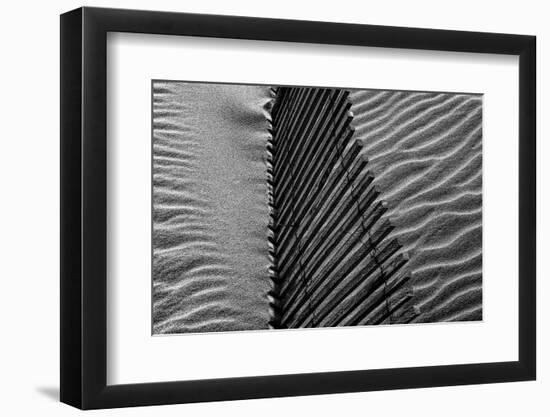 Beach House-Paulo Abrantes-Framed Photographic Print