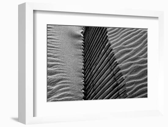 Beach House-Paulo Abrantes-Framed Photographic Print