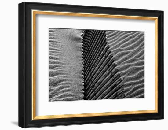 Beach House-Paulo Abrantes-Framed Photographic Print