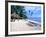 Beach Huts and Chairs, Florida Keys, Florida, USA-Terry Eggers-Framed Photographic Print