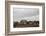 Beach Huts, Embleton Bay, Northumberland, England, United Kingdom, Europe-Bill Ward-Framed Photographic Print