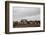 Beach Huts, Embleton Bay, Northumberland, England, United Kingdom, Europe-Bill Ward-Framed Photographic Print