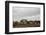 Beach Huts, Embleton Bay, Northumberland, England, United Kingdom, Europe-Bill Ward-Framed Photographic Print