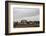 Beach Huts, Embleton Bay, Northumberland, England, United Kingdom, Europe-Bill Ward-Framed Photographic Print