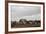 Beach Huts, Embleton Bay, Northumberland, England, United Kingdom, Europe-Bill Ward-Framed Photographic Print